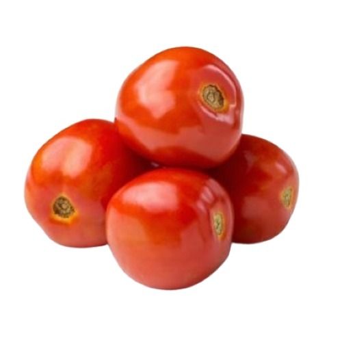 Round Shape Naturally Grown Fresh Tomato