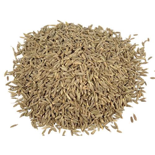 Green Spice Grade Raw Cumin Seed