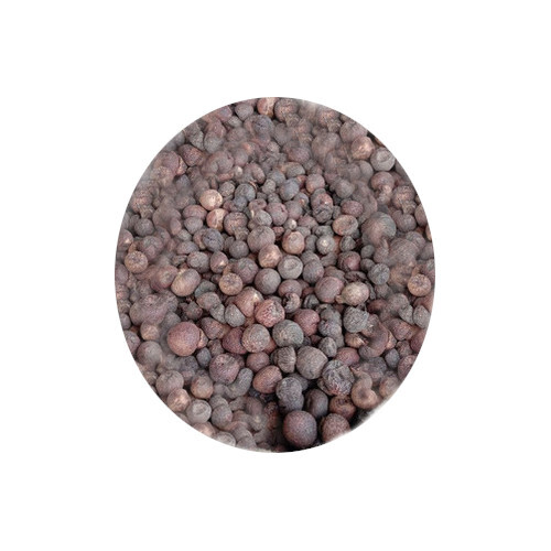Export Quality Indonesian Boiled Whole Betel Nuts - Color: Brown