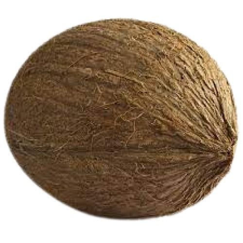 Brown Round Shape Medium Size Matured Fresh Coconut 