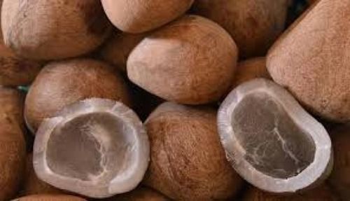 Brown Common Cultivated Whole Round Natural Matured Dried Coconut