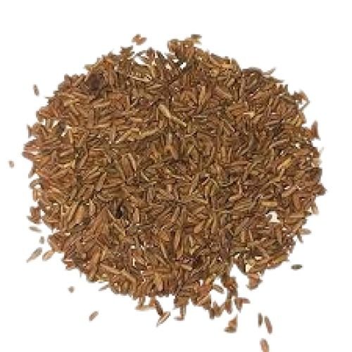 A-Grade Pure Common Cultivated Natural Dried Carrot Seeds