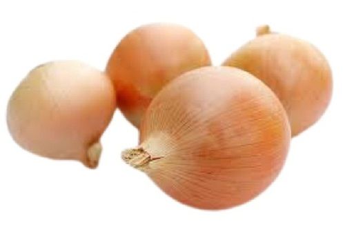 Indian Origin Naturally Grown Farm Fresh Raw Onion 