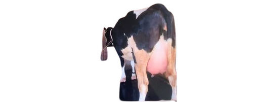 Black & White HF Cow For Forming