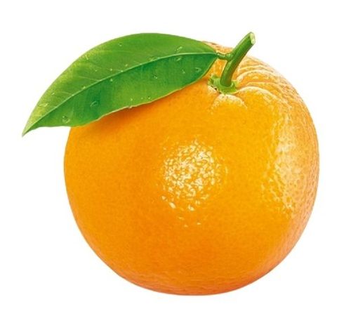 स्वादिष्ट प्राकृतिक रूप से उगाए जाने वाले सामान्य संवर्धित स्वस्थ खट्टे गोल नारंगी फल 