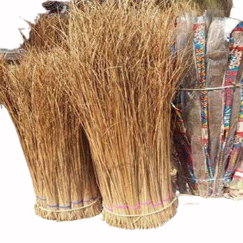 Brown 1.5 Feet Plain Floor Cleaning Coconut Broom Stick For Collecting Waste