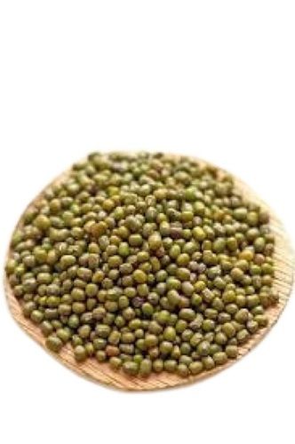 Indian Origin 100 Percent Pure Oval Shape Dried Green Moong Dal