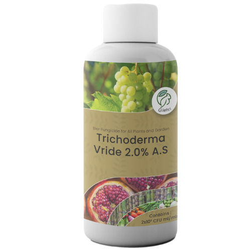 Gilehri Trichoderma Viride (2 X 10*8 Cfu Ml / Min) Bio Fungicide For Plants And Home Garden Recommended By Npop For Organic Farming Liquid