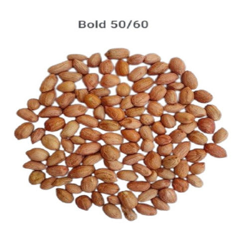 Groundnut Kernels - Bold 50/60 Grade 0.5% Admixture