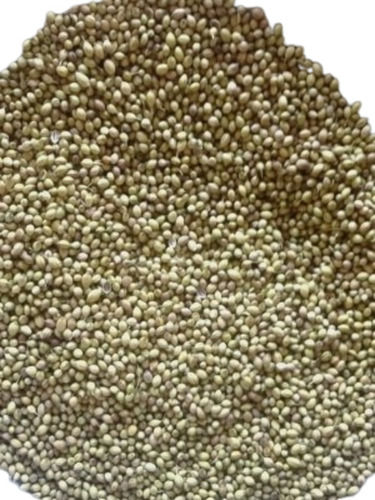 Coriander Seeds - 100% Purity, Natural Dried, Very Good Quality | Good for Health, A Grade, Common Cultivation, Brown Color