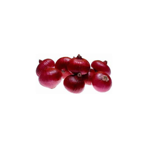 Red Onion Seeds - Moisture (%): 90