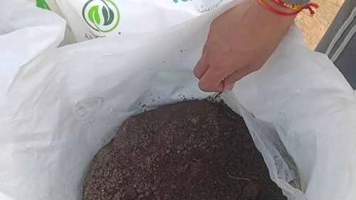 VERMICOMPOST, VERMIWASH, VERMI BED