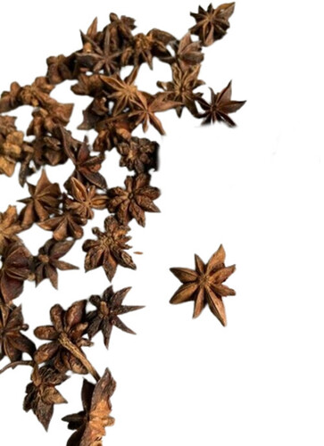 Bright Brown Dried Vietnam Star Anise Autumn