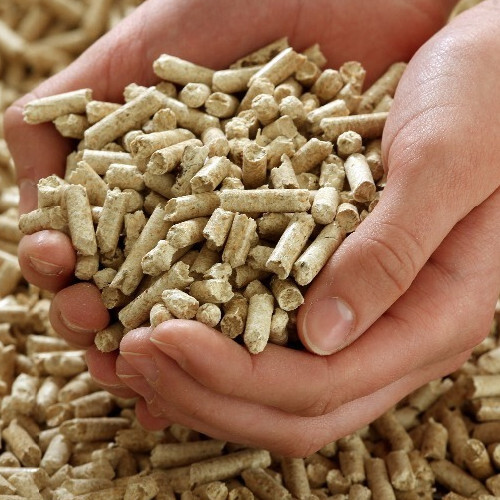 Biomass Pellets