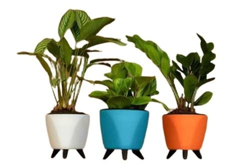 Self Watering Pots for Indoor and Outdoor Use