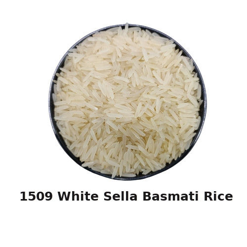 Long Grain 1509 White Sella Basmati Rice