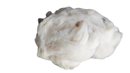 Raw Sheep Wool 