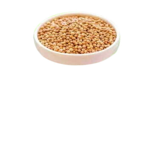 Brown Whole Round Natural Coriander Seeds