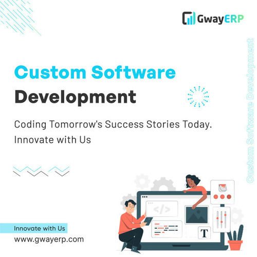 Custom Software Development in chennai