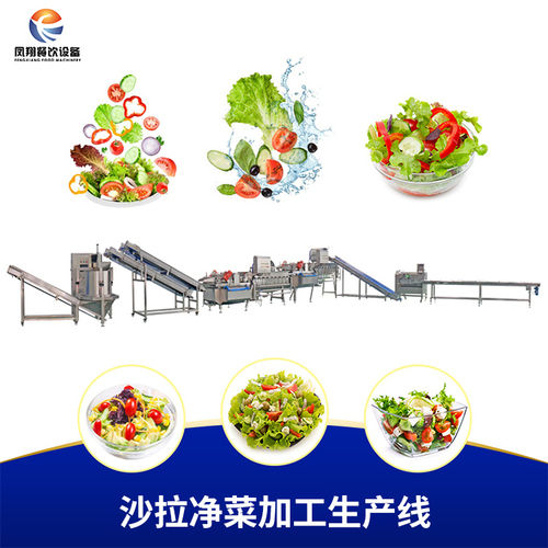 Salad Vegetable Processing Production Line