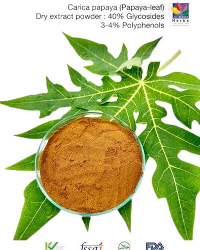 Carica Papaya (Papaya) Leaf Extract