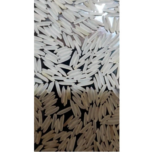 1121 White Sella Basmati Rice - Cultivation Type: Common