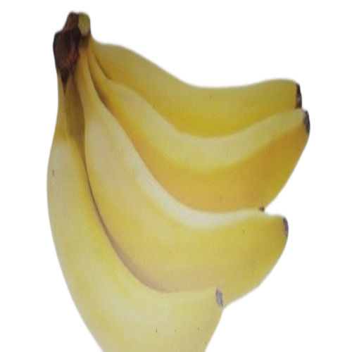 Organic fresh banana Feature Healthy Nutritious