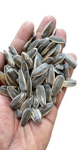 Sunflower Seed 