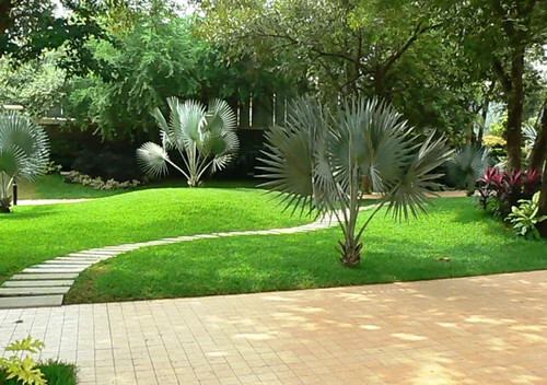 Landscape Designers - Automatic Grade: Automatic