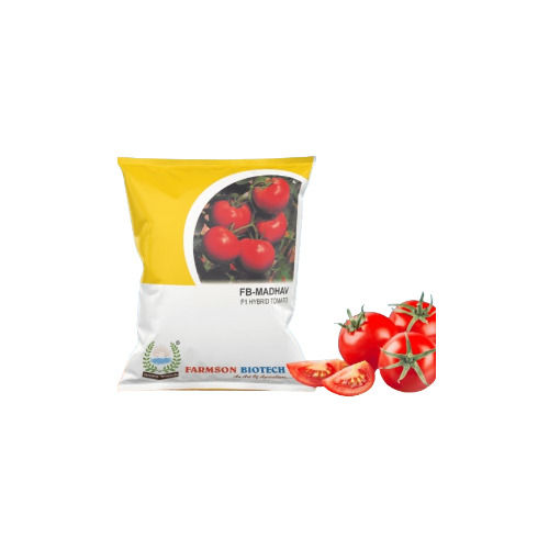 Fb-Madhav F1 Hybrid Tomato Seeds