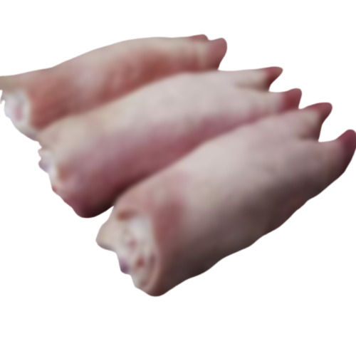 Frozen Pork Meat / Pork Hind Leg / Pork Feet