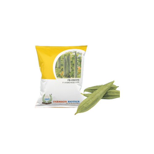Ridge Gourd Seeds - 25-30 cm Length, Shiny Green Fruit | Hybrid Variety, Excellent Yield, 99% Purity, 9 Months Shelf Life