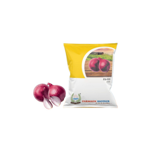 Dark Red Onion Seeds - 80-100 Gm Bulb Weight 5.5-6.5 Cm Diameter | High Yielding Variety 80-90 Days Maturity Disease Resistant Strong Flavor Long Storage Life Adaptable to Various Climates