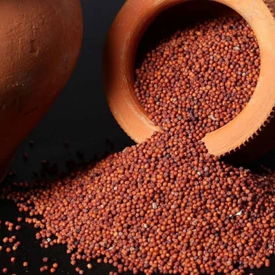 सूखे रागी