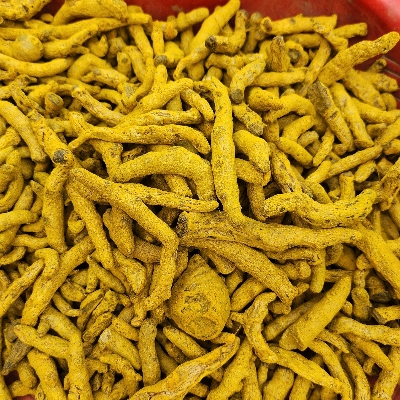 हल्दी की अंगुली