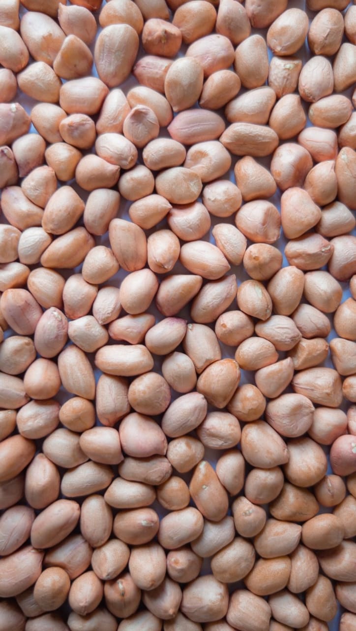 Peanut Kernels - Grade 50/60, 60/70, 70/80, 80/90, 100/120, 120/140, 7-8% Moisture, Brown Color, Food Grade, Raw Variety, 12 Months Shelf Life