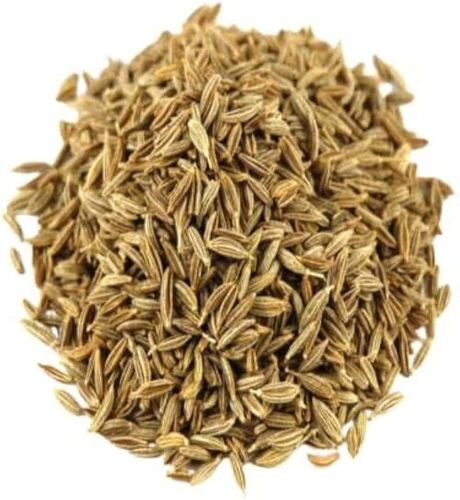 Fresh Cumin