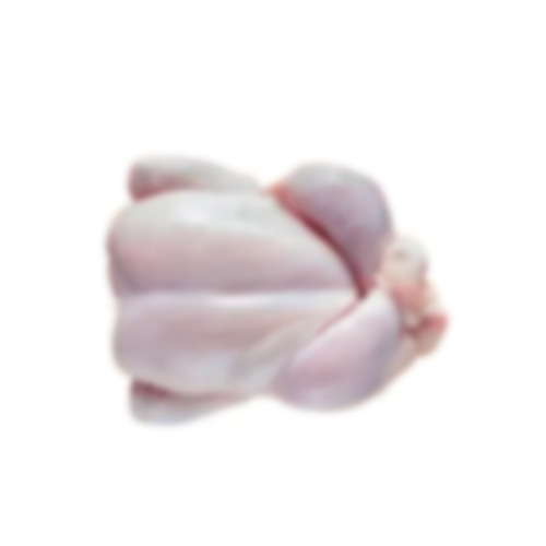 Frozen Chicken - 100% Pure Non-Vegetarian | Light Pink Color, Boneless, Headless, Gluten-Free, Low-Fat, Nutritious, 1 Month Shelf Life