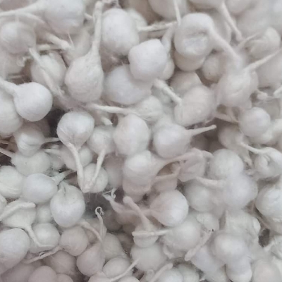 Cotton Wicks - Eco-friendly Biodegradable White, Non-toxic Soft & Flexible Material | Ideal For Oil Lamps, Diyas, And Candles