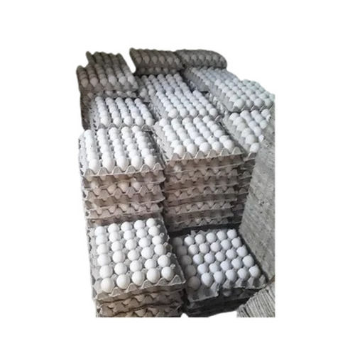 Premium White Hatching Eggs - 30 Eggs Per Tray | 100% Pure, Oval Shape, High In Protein, Nutrition Enriched, Healthy And Easy To Cook