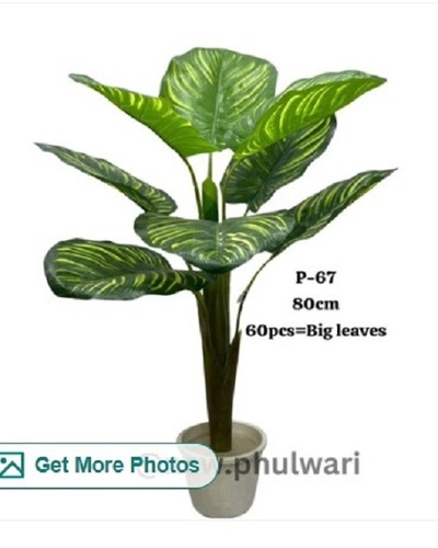 Artificial Flower Patta Plant - Plastic Material, Customizable Size | Long Lasting Finish, Lightweight Design, Easy to Clean, Decorative Use for Ceremonies and Home