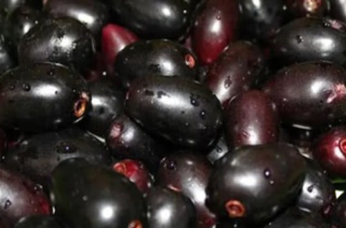 Jamun Fruit