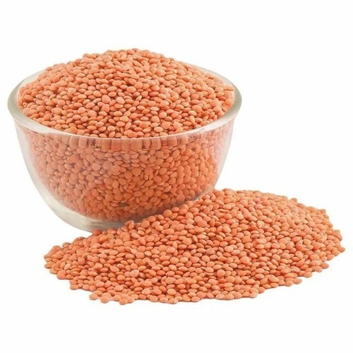 Masoor Dal - Organic Whole Lentils, Medium Grain Size | Pure Healthy, Easy To Digest, Nutrition Enriched, Rich In Vitamin, High In Protein, Gluten-Free