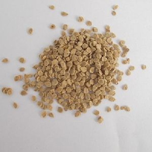 Tomato Seed - Color: White