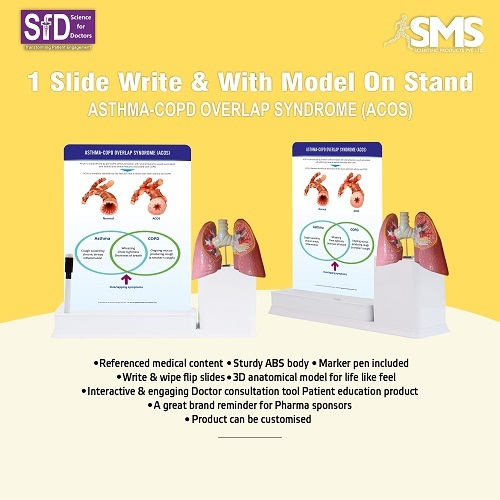 Asthma-COPD Educational Model - Durable Plastic 12x15 Inches Multiple Colors | Portable Design Easy-to-Clean Surface Customizable for Patient Needs