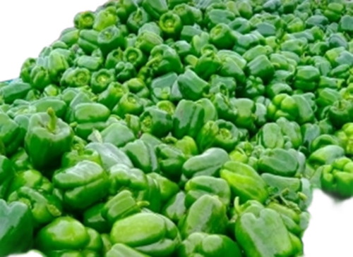 Green Capsicum - Moisture (%): 92.61%