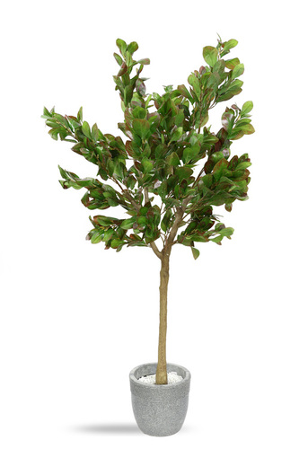 Bay Leaf (Artificial Tree)