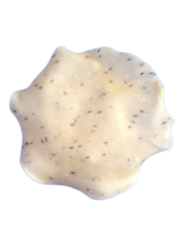 Rice Papad - Additives: One Time Use