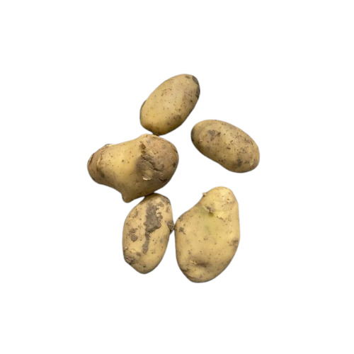 Brown Potatoes - Shape: Round