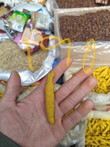 Raw Turmeric By New Company-saqlain Mushtaq